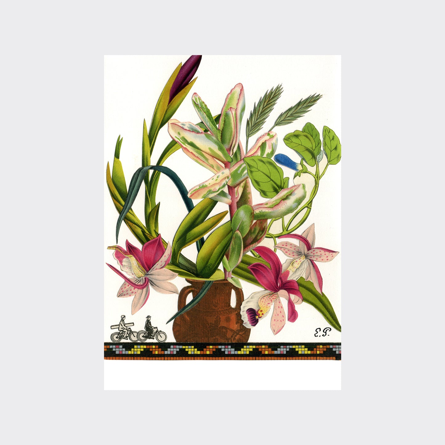 Emmanuel Pierre “Bouquet des cyclistes”