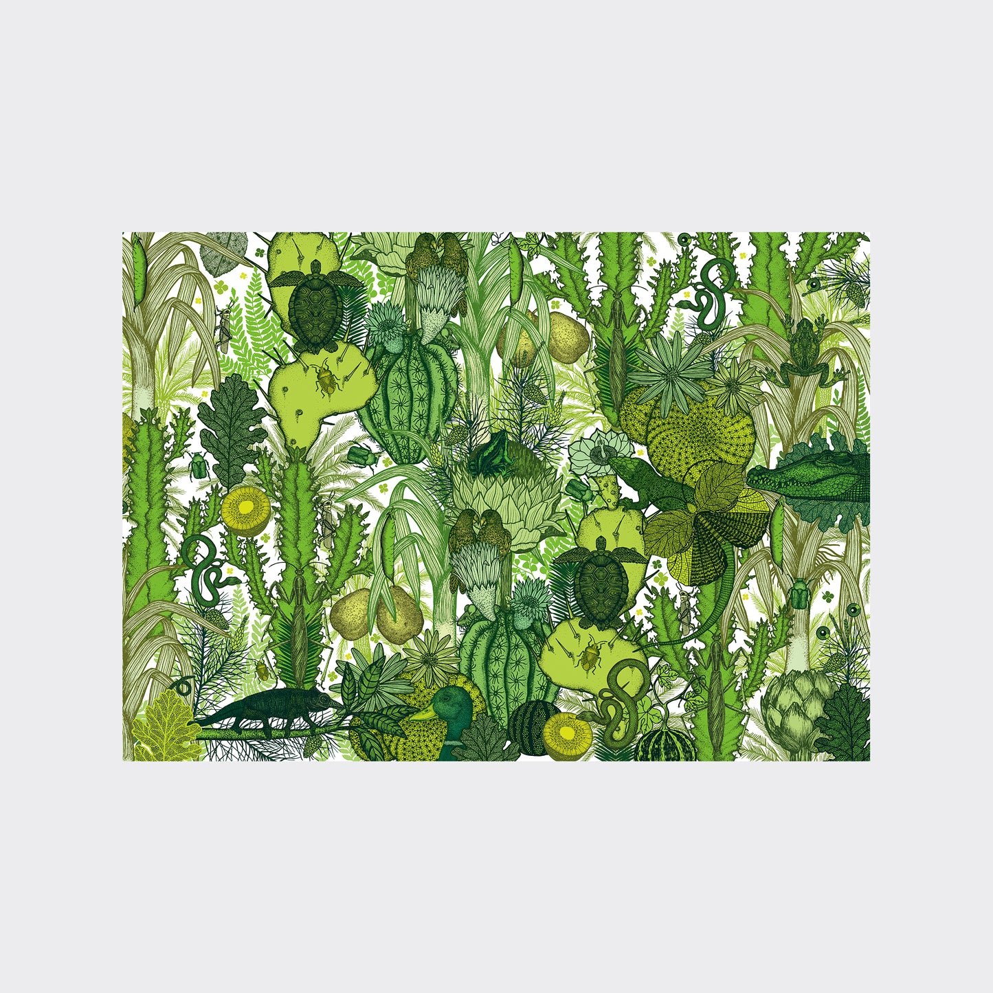 Michaël Cailloux “Fifty shades of green”