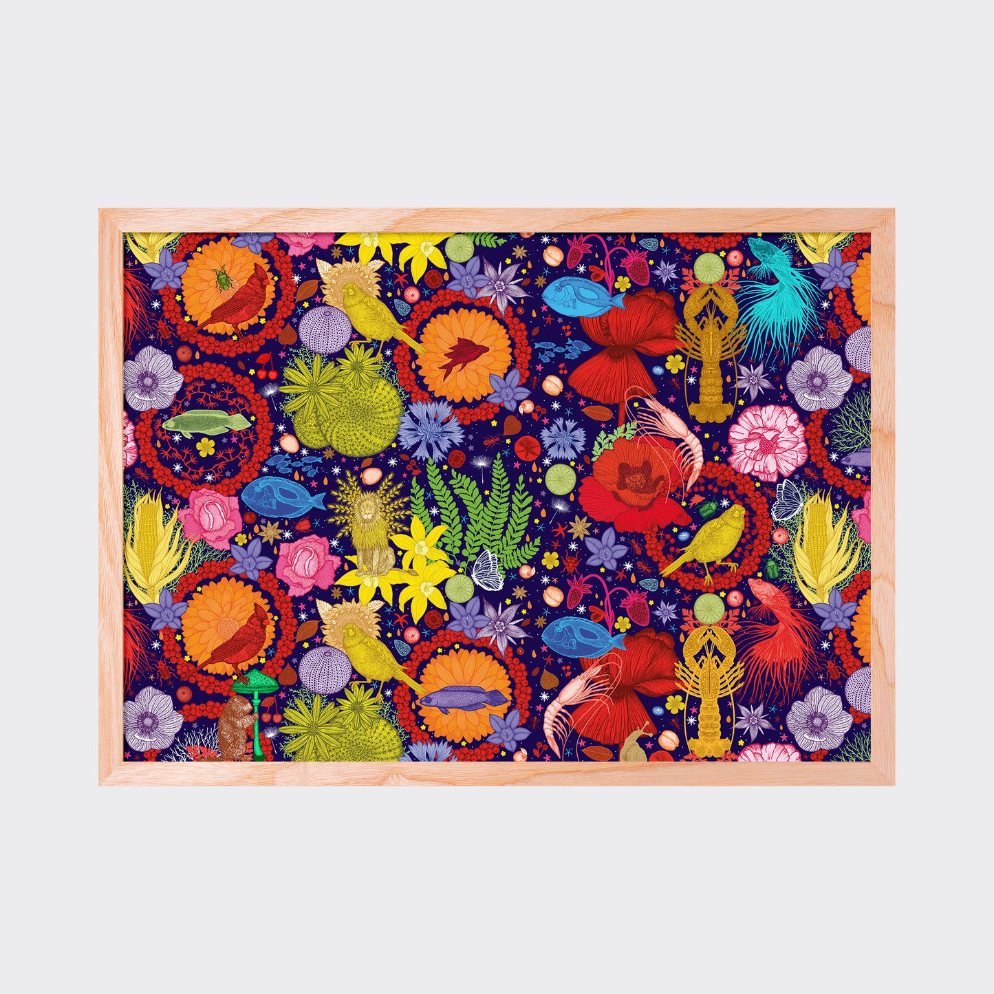 Michaël Cailloux “Merveilleuse couleur”